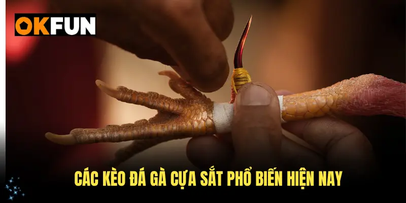 Các kèo đá gà cựa sắt phổ biến hiện nay